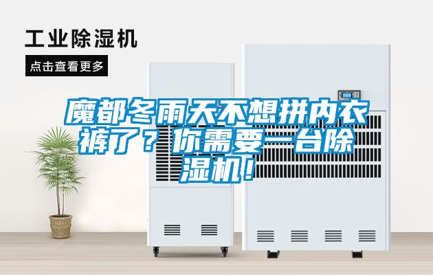 魔都冬雨天不想拼內(nèi)衣褲了？你需要一臺(tái)除濕機(jī)！