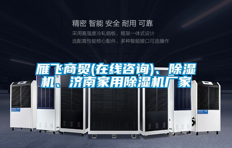 雁飛商貿(mào)(在線咨詢(xún))、除濕機(jī)、濟(jì)南家用除濕機(jī)廠家