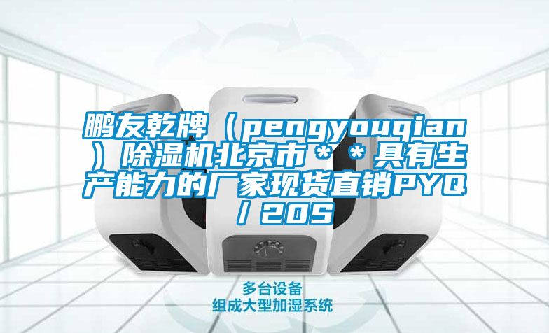 鵬友乾牌（pengyouqian）除濕機(jī)北京市＊＊具有生產(chǎn)能力的廠家現(xiàn)貨直銷(xiāo)PYQ／20S