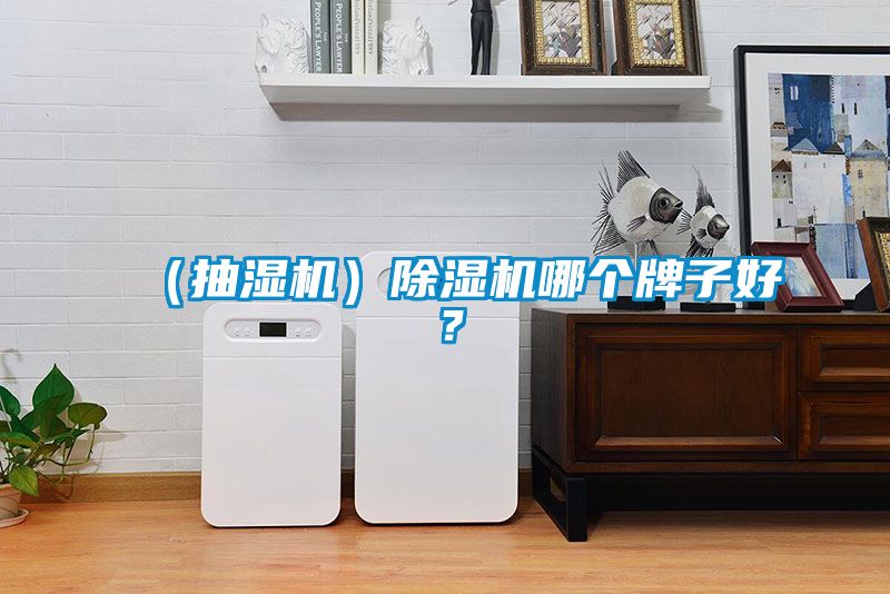 （抽濕機）除濕機哪個牌子好？