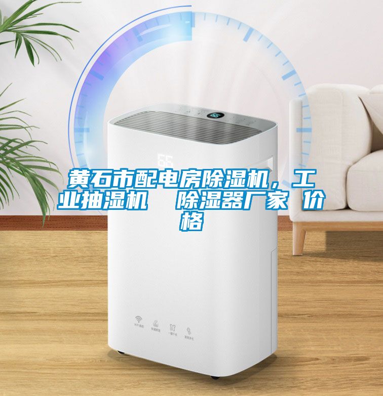 黃石市配電房除濕機(jī)，工業(yè)抽濕機(jī)  除濕器廠家 價(jià)格