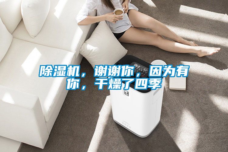 除濕機，謝謝你，因為有你，干燥了四季