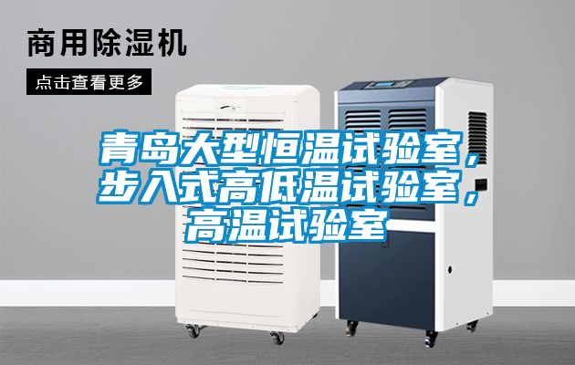 青島大型恒溫試驗(yàn)室，步入式高低溫試驗(yàn)室，高溫試驗(yàn)室