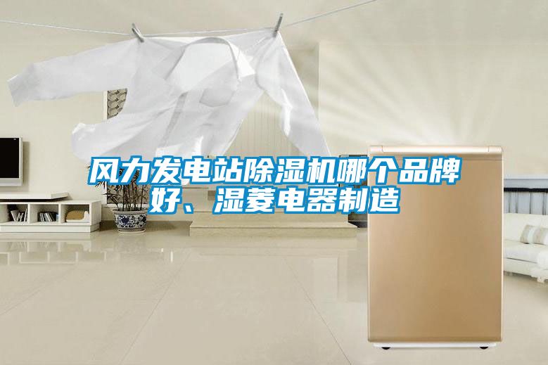 風(fēng)力發(fā)電站除濕機(jī)哪個品牌好、濕菱電器制造