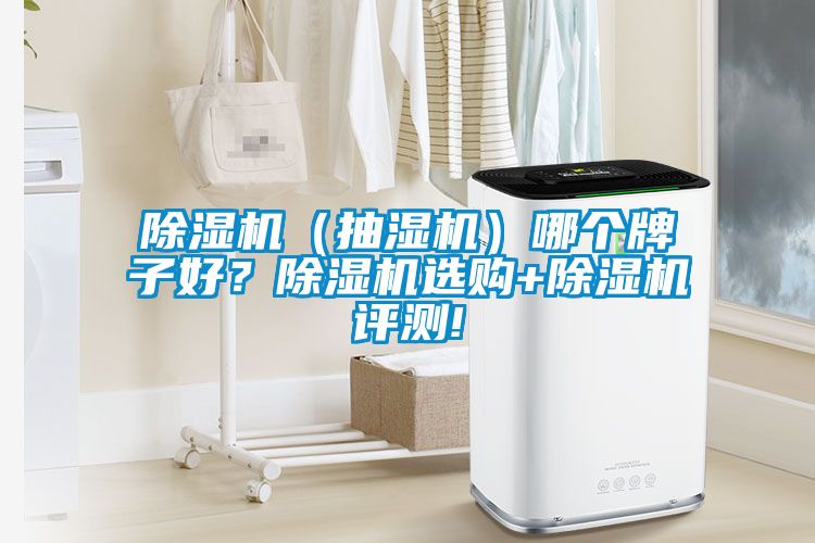 除濕機（抽濕機）哪個牌子好？除濕機選購+除濕機評測!