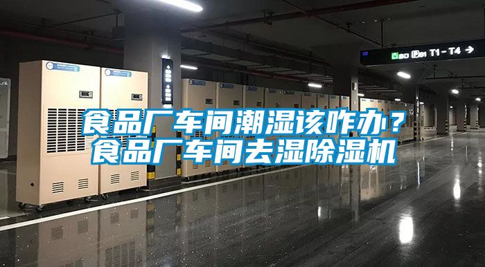 食品廠車(chē)間潮濕該咋辦？食品廠車(chē)間去濕除濕機(jī)