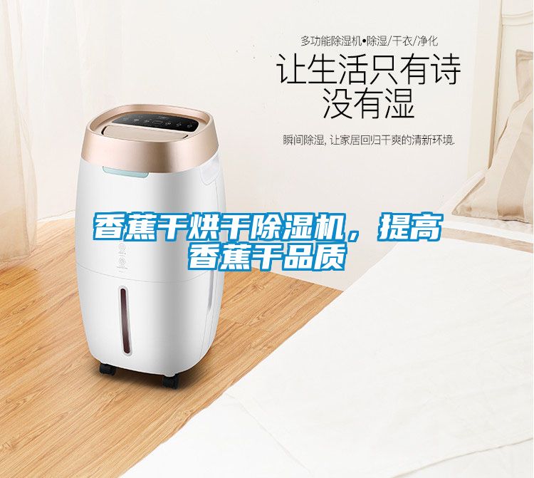香蕉干烘干除濕機，提高香蕉干品質(zhì)