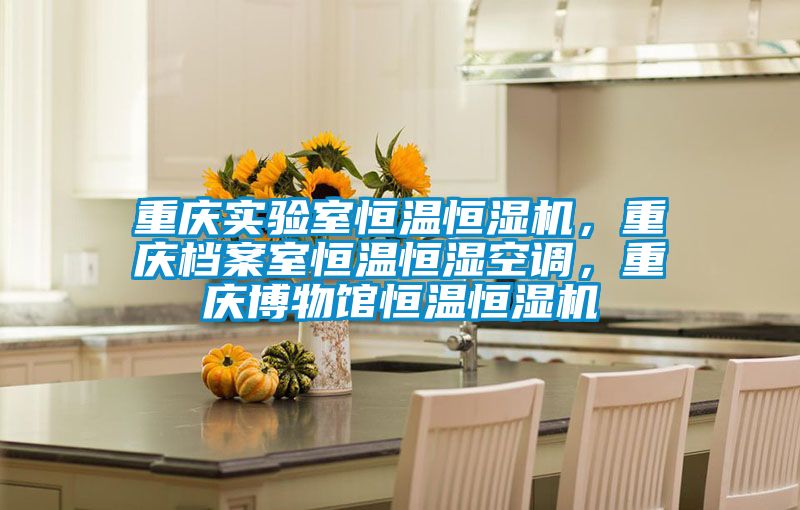 重慶實(shí)驗(yàn)室恒溫恒濕機(jī)，重慶檔案室恒溫恒濕空調(diào)，重慶博物館恒溫恒濕機(jī)