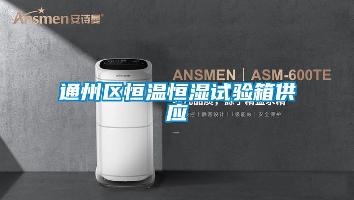 通州區(qū)恒溫恒濕試驗箱供應