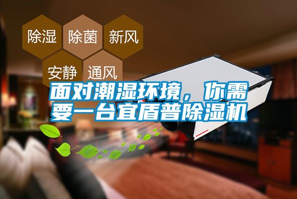 面對潮濕環(huán)境，你需要一臺宜盾普除濕機