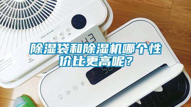 除濕袋和除濕機哪個性價比更高呢？