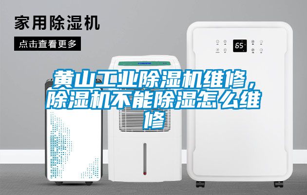 黃山工業(yè)除濕機(jī)維修，除濕機(jī)不能除濕怎么維修