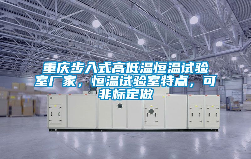 重慶步入式高低溫恒溫試驗(yàn)室廠家，恒溫試驗(yàn)室特點(diǎn)，可非標(biāo)定做