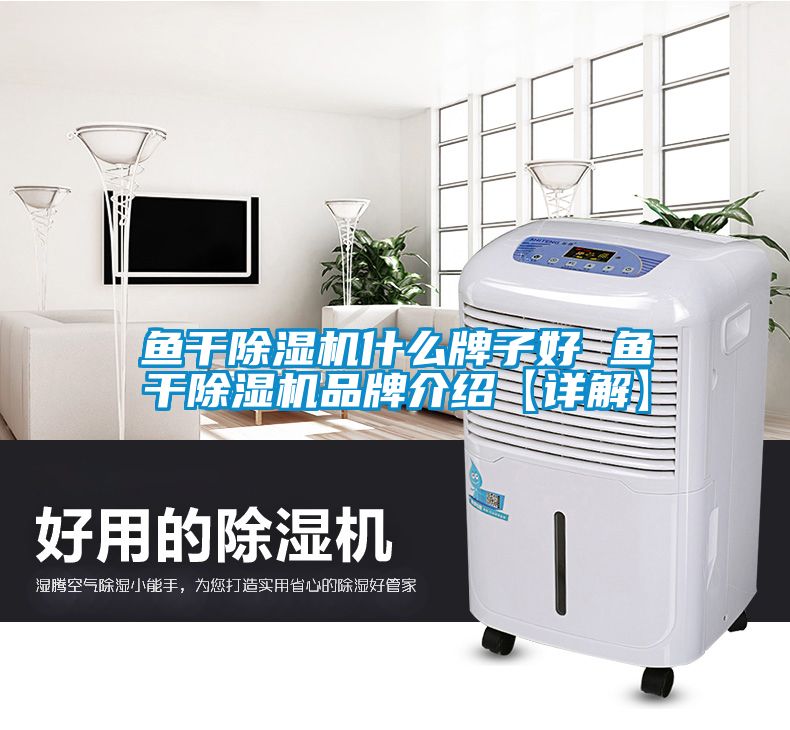 魚(yú)干除濕機(jī)什么牌子好 魚(yú)干除濕機(jī)品牌介紹【詳解】