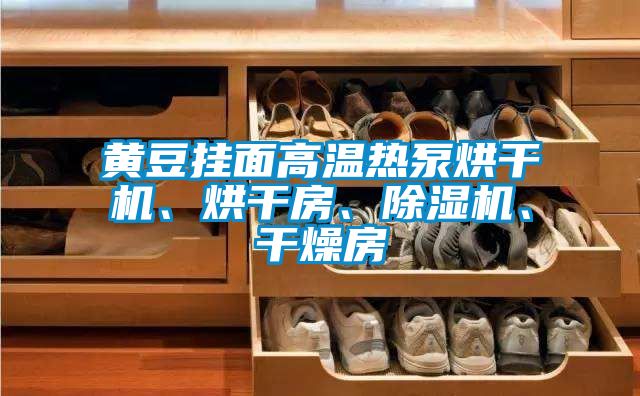 黃豆掛面高溫?zé)岜煤娓蓹C(jī)、烘干房、除濕機(jī)、干燥房