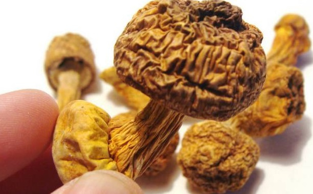 巴西菇、姬松茸烘干機(jī)-怎樣烘干色澤好且菇體褶片完整？