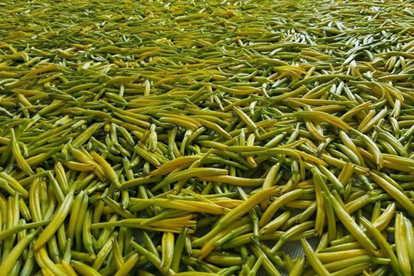 無(wú)硫金針菜烘干如何保持品相？不發(fā)黑？