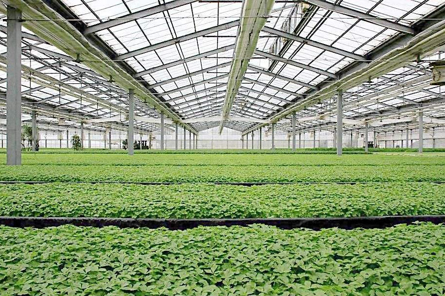 除濕器如何解決高濕度、多種危害的溫室除濕問(wèn)題？